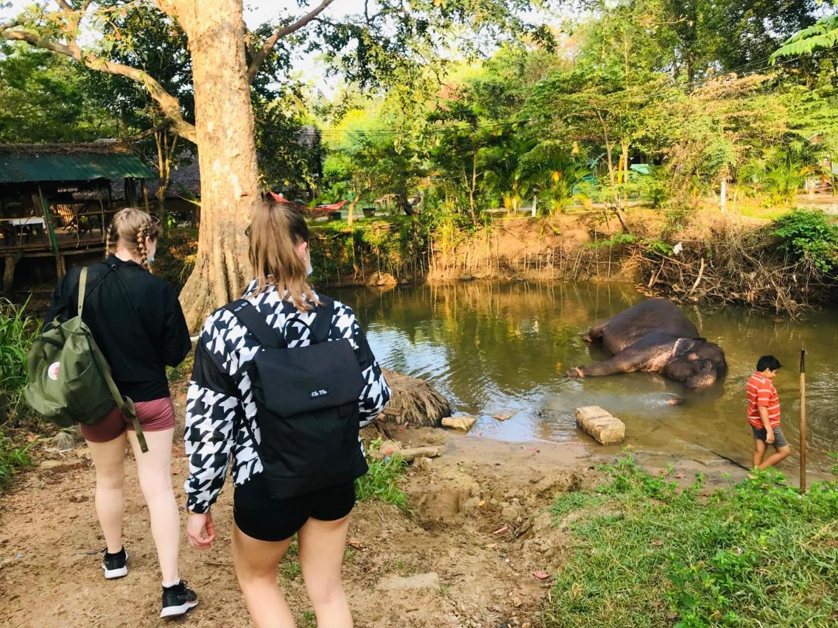 Dambulla Tourist Resort Kültér fotó